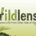 Display-image-wildlense